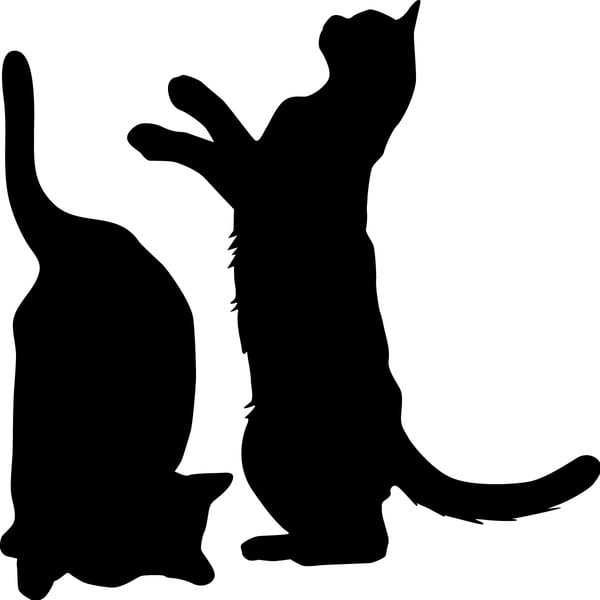 Sada 2 samolepiek Ambiance Cute Cats-image-1