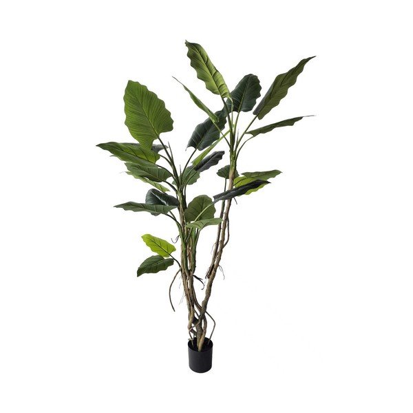 Umelý kvet (výška  190 cm) Alocasia – Bizzotto