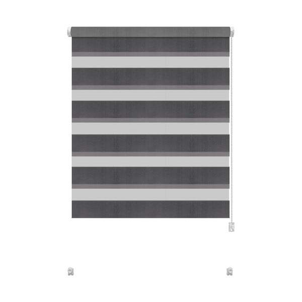 Tmavosivá roleta deň a noc 68x215 cm Zebra – Gardinia