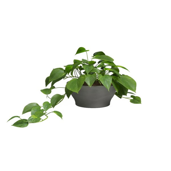 Kvetináč z terakoty ø 23 cm Saramago – Artevasi-image-1