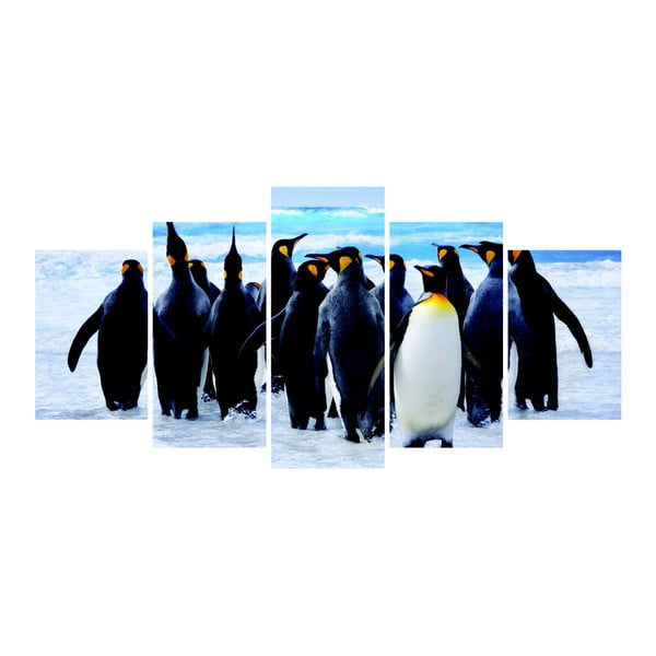 Viacdielny obraz La Maison Des Couleurs Penguins