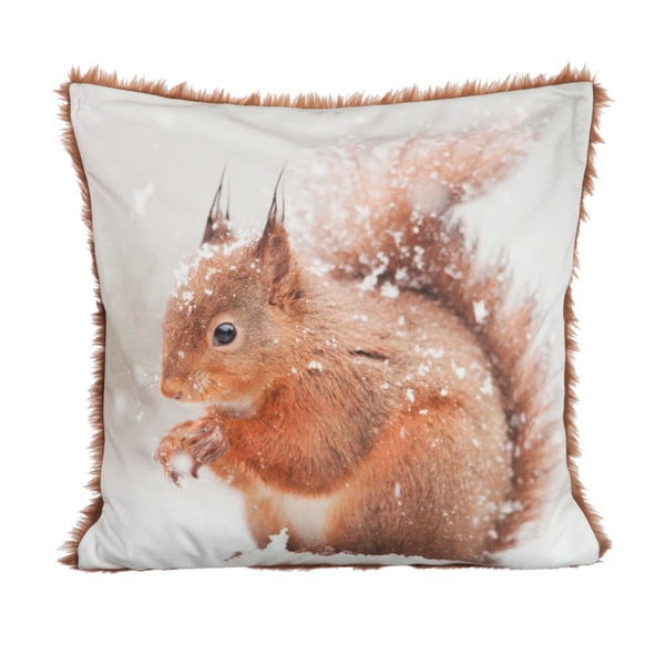 Vankúš Squirrel Velvet, 45x45 cm