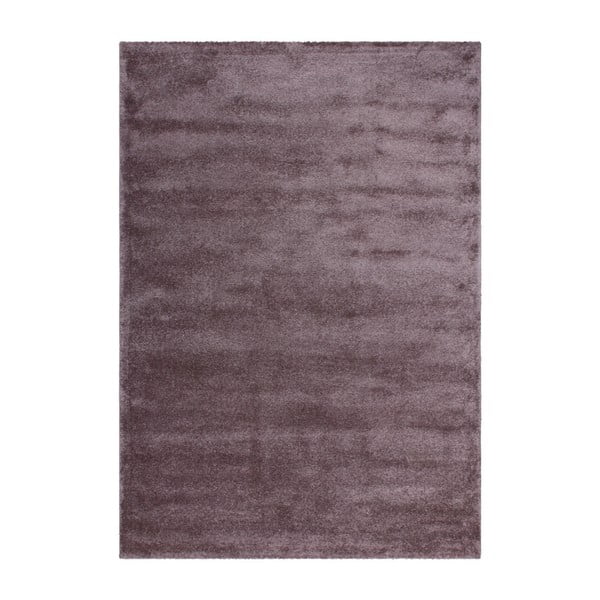 Fialový koberec Kayoom Friday, 120 x 170 cm