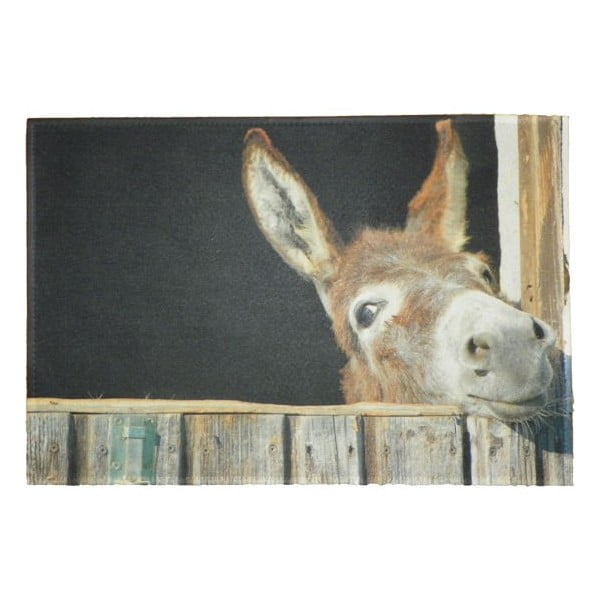 Predložka Donkey 75x50 cm