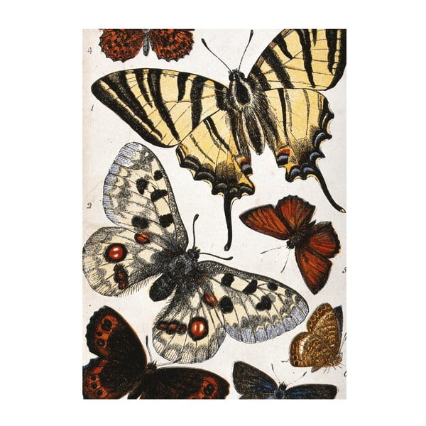 Utierka na riad Jay Biologica Butterflies