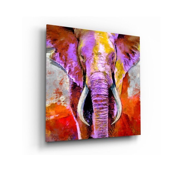 Sklenený obraz Insigne Revenge of the Elephant, 40 x 40 cm