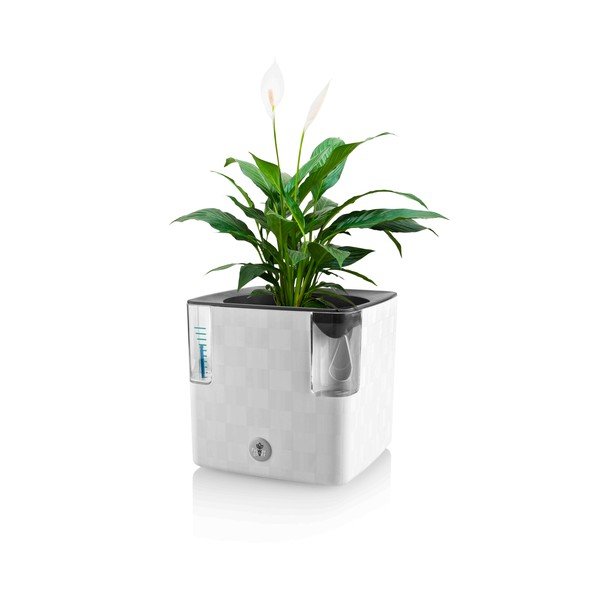 Plastový samozavlažovací kvetináč na bylinky Cobble – Flower Lover-image-2