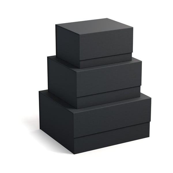 Kartónové úložné boxy s vekom v súprave 3 ks Ilse – Bigso Box of Sweden