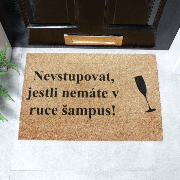 Rohožka z kokosového vlákna 40x60 cm Šampus – Artsy Doormats-image-2