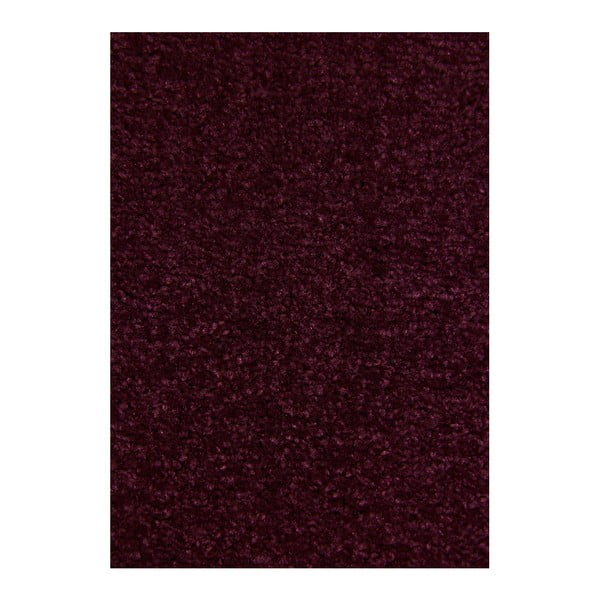 Tmavofialový koberec Hanse Home Nasty, 200 × 200 cm
