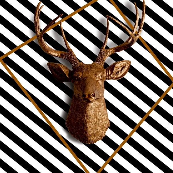 Obraz Deer, 60 x 60 cm