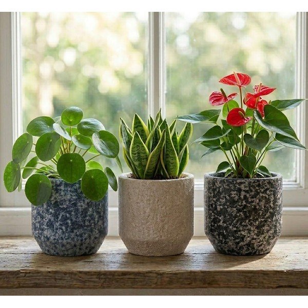 Keramický ručne vyrobený obal na kvetináč ø 14 cm Almada – Ego Dekor-image-1