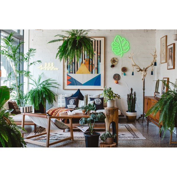 Zelená nástenná svietiaca dekorácia Candy Shock Leaf, 30 x 40 cm-image-3