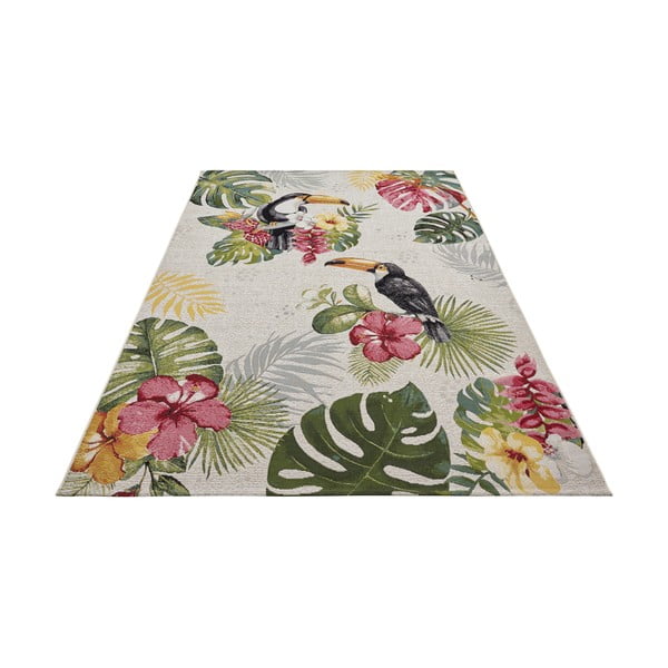 Vonkajší koberec 240x340 cm Flair – Hanse Home-image-4