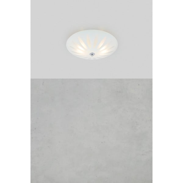 Biele stropné svietidlo so skleneným tienidlom Petal – Markslöjd-image-1