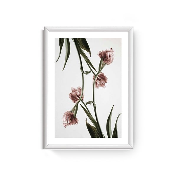 Obraz Piacenza Art Dendrobium, 30 × 20 cm