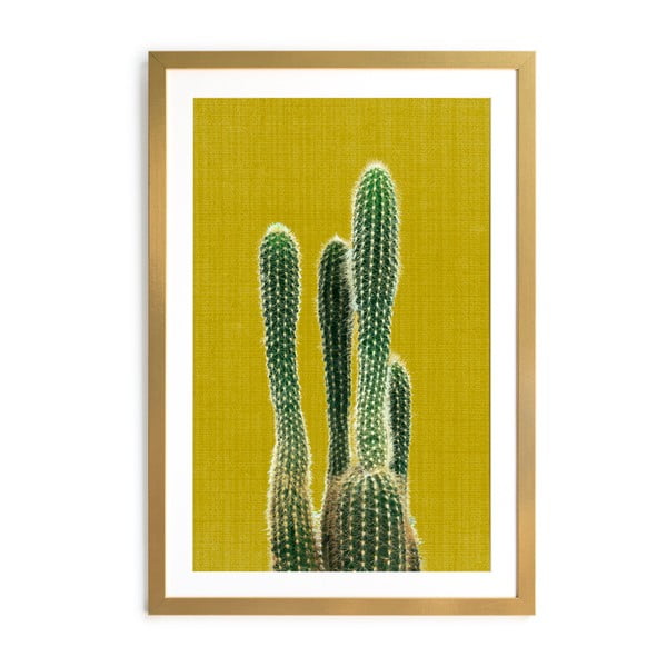Plagát 40x60 cm - Surdic