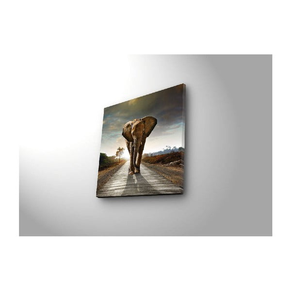 Podsvietený obraz Elephant, 28 × 28 cm