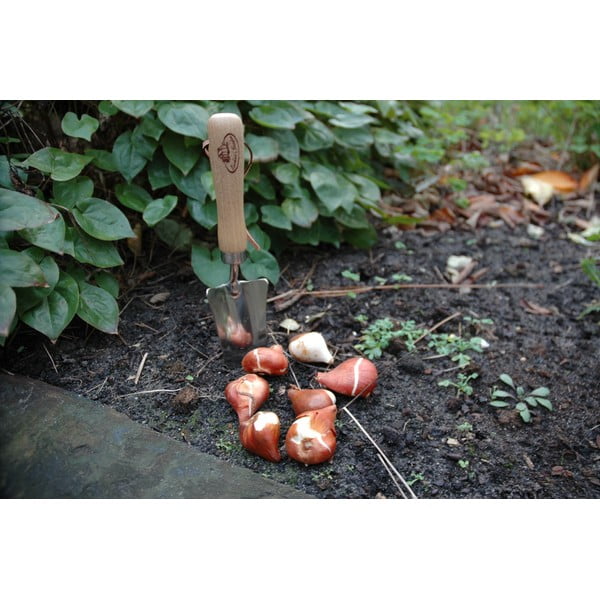 Lopatka na presádzanie z jaseňového dreva Esschert Design Pond-image-4