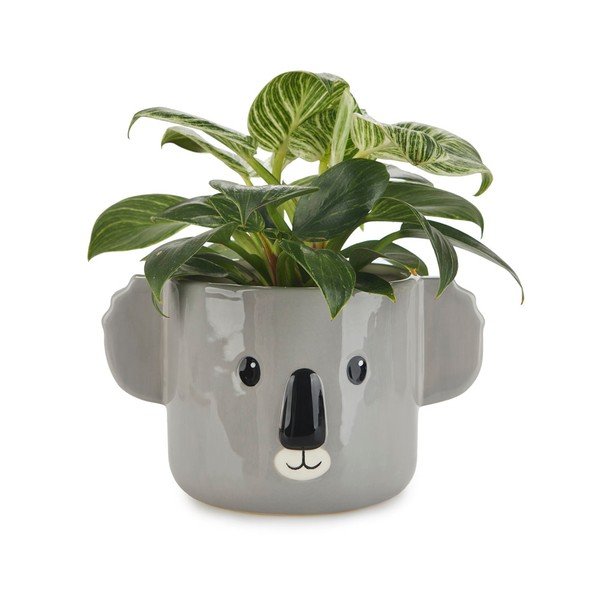 Keramický kvetináč ø 13,5 cm Koala – Balvi-image-1