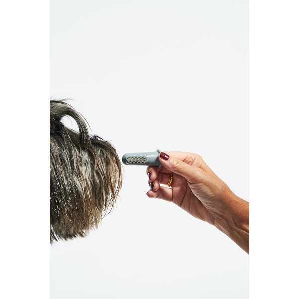 Zubné kefky pre domáceho maznáčika v súprave Dito – MiaCara-image-4