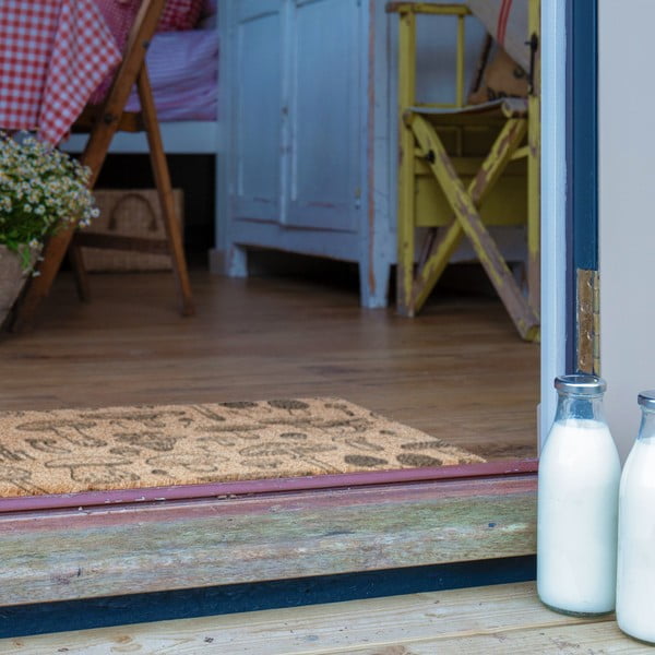 Rohožka z kokosového vlákna 40x60 cm Mushrooms – Artsy Doormats-image-4