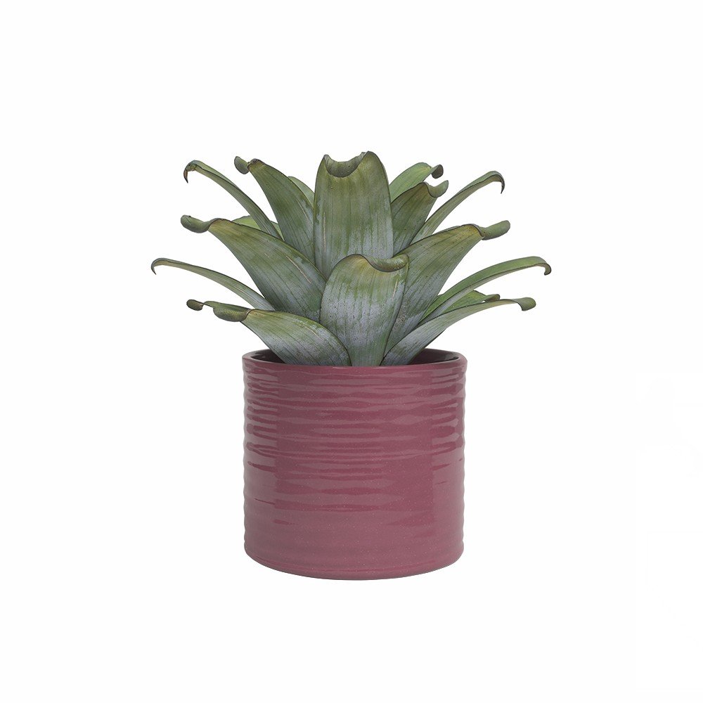 E-shop Keramický ručne vyrobený obal na kvetináč ø 18 cm Fortuna – Artevasi