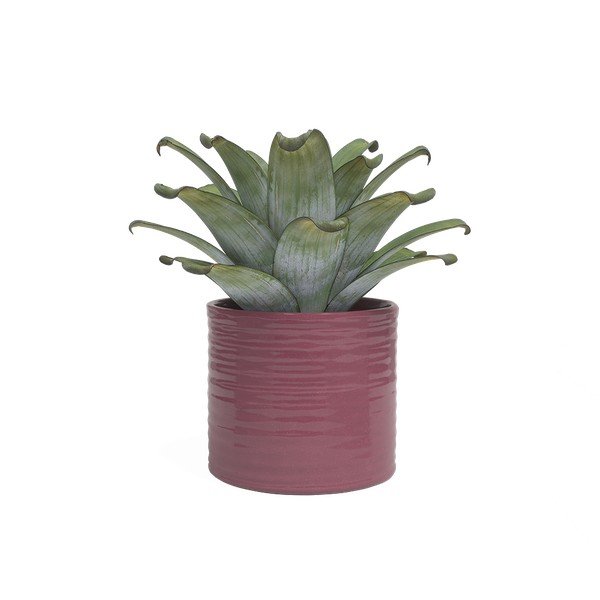 Keramický ručne vyrobený obal na kvetináč ø 25 cm Fortuna – Artevasi