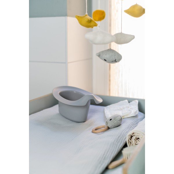 Sivý nočník - Kindsgut-image-1