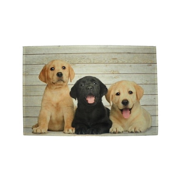 Prestieranie Mars&More Puppies Labrador, 40 x 30 cm