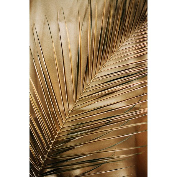Tlačený sklenený obraz 80x120 cm Gold Palm  – Styler