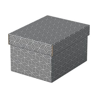 Súprava 3 sivých úložných škatúľ Esselte Home, 20 x 25,5 cm