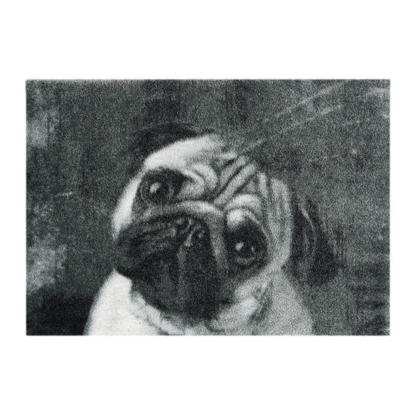 Sivá rohožka Mint Rugs StateMat Dog, 50 × 75 cm