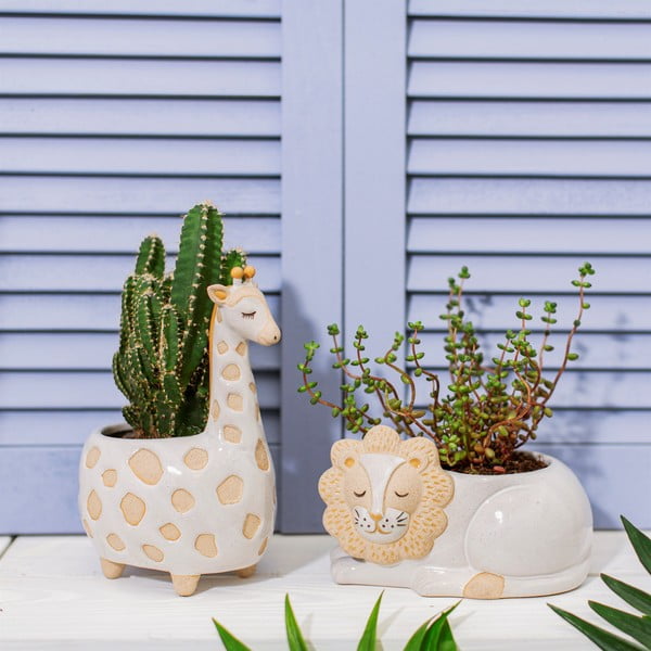 Bielo-béžový kvetináč Sass & Belle Leo Lion, ø 7 cm-image-1