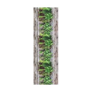Hnedo-zelený behúň Floorita Aromatica, 58 × 115 cm