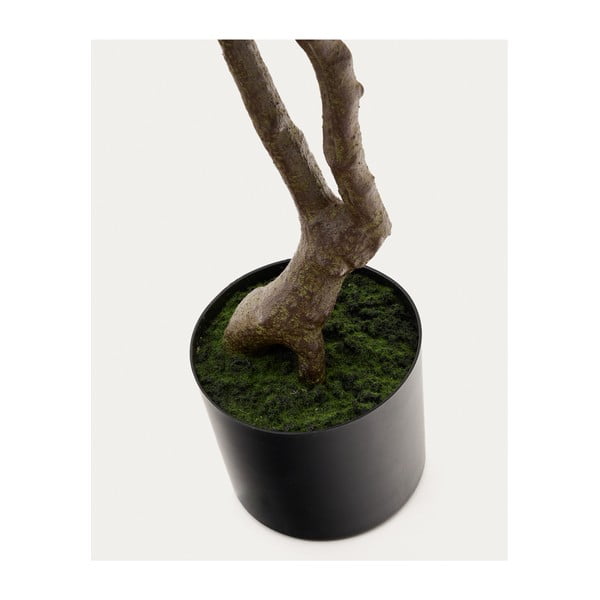 Umelá rastlina (výška 180 cm) Pachira – Kave Home-image-3