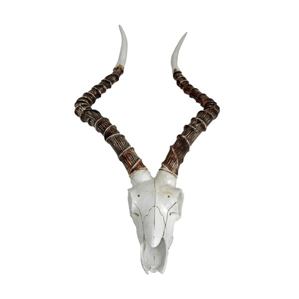 Polyresinová nástenná dekorácia 33x68 cm Impalak – Deco Pleasure