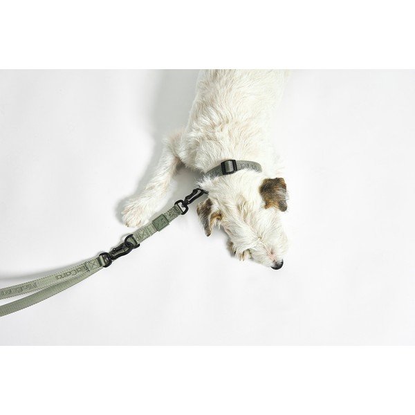 Tmavosivý obojok veľkosť S/M dĺžka 32 cm Modena Asphalt S/SM – MiaCara-image-4