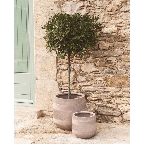 Betónové obaly na kvetináče v súprave 2 ks ø 50 cm Tival – Kave Home-image-2