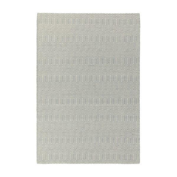 Svetlosivý vlnený koberec 120x170 cm Sloan – Asiatic Carpets