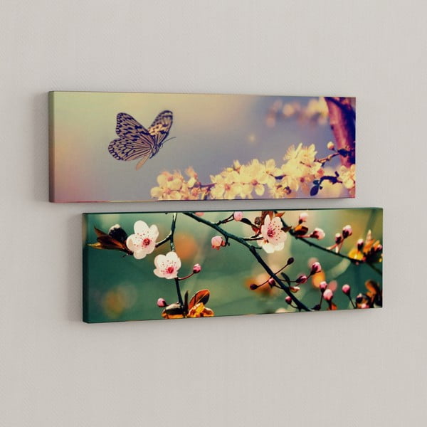 Sada 2 obrazov Motýľ s kvetmi