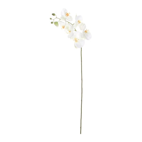 Umelá kvetina SHISHI  Pahalaneopsis, výška 103 cm
