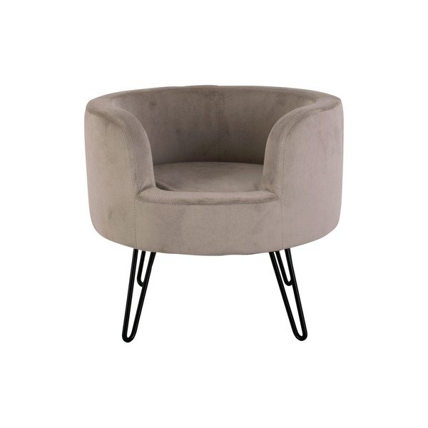 Sivý zamatový pelech pre domácich maznáčikov Leitmotiv Throne-image-2