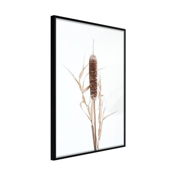 Plagát v ráme Artgeist Typha, 40 x 60 cm