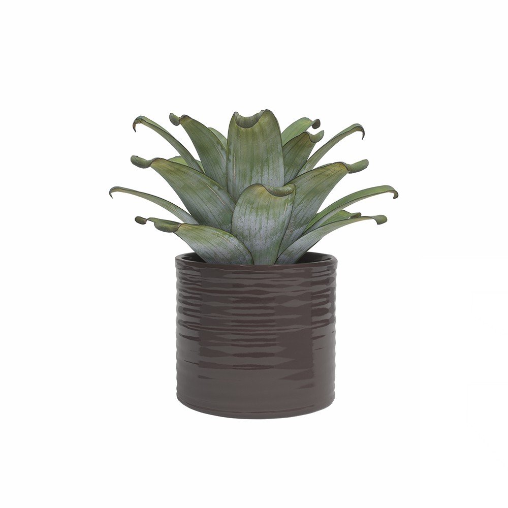 E-shop Keramický ručne vyrobený obal na kvetináč ø 25 cm Fortuna – Artevasi
