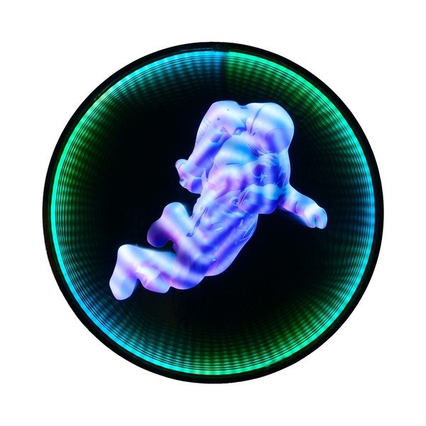 Čierna nástenná svetelná dekorácia do zásuvky ø 60 cm Duke – Reality