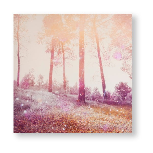 Obraz Graham & Brown Meadow Daydream, 60 × 60 cm
