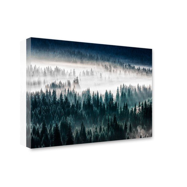 Obraz Styler Glasspik Misty Forest, 80 × 120 cm-image-1