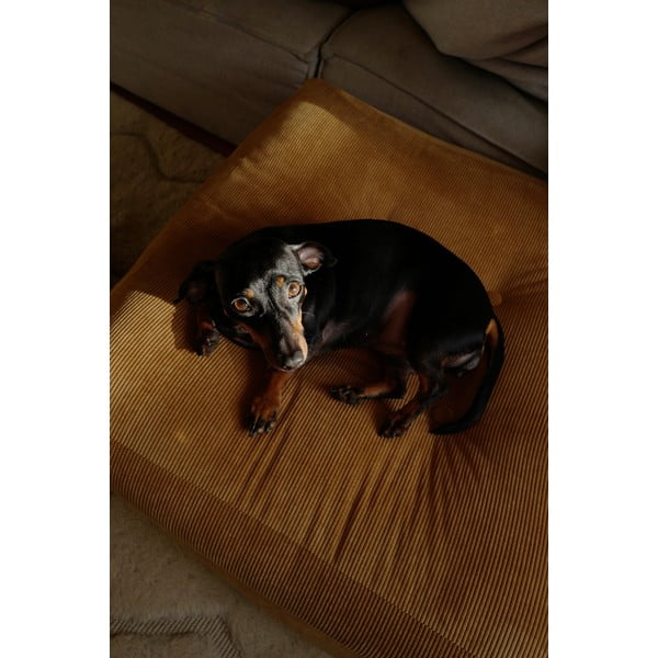 Taburet More - Karup Design-image-4