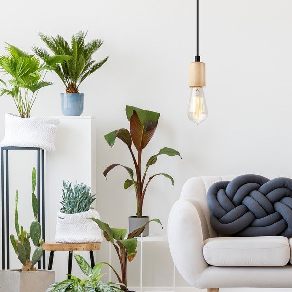 Závesné svietidlo v prírodnej farbe Leon – LAMKUR-image-1